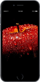 2D пластиковий чехол Яблуко для Apple iPhone 6s - 6022t-90 изображение 