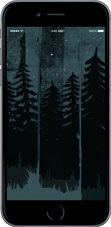 2D пластиковый чехол Лиса и ночной лес для Apple iPhone 6 - 6481t-45 изображение 