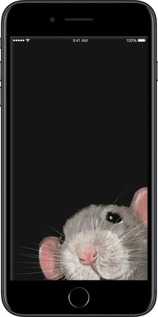 TPU чехол The Peeking Rat для Apple iPhone 7 Plus - 6442b-337 изображение 