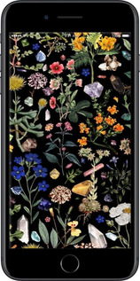 Силіконовий чехол З квітами для Apple iPhone 8 Plus - 6422u-1032 изображение 