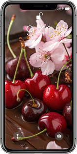 TPU чехол Вишня в шоколаде для Apple iPhone X - 6698b-1050 изображение 