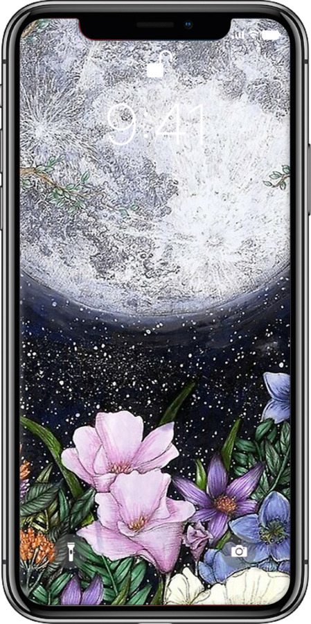 TPU чехол Полночь в саду для Apple iPhone X - 6259b-1050 изображение 