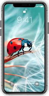 Чехол Bumper чехол Божья коровка для Apple iPhone XS - 6049pc-1583 изображение 