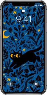 2D пластиковый чехол Летняя ночь для Apple iPhone XS - 6472t-1583 изображение 