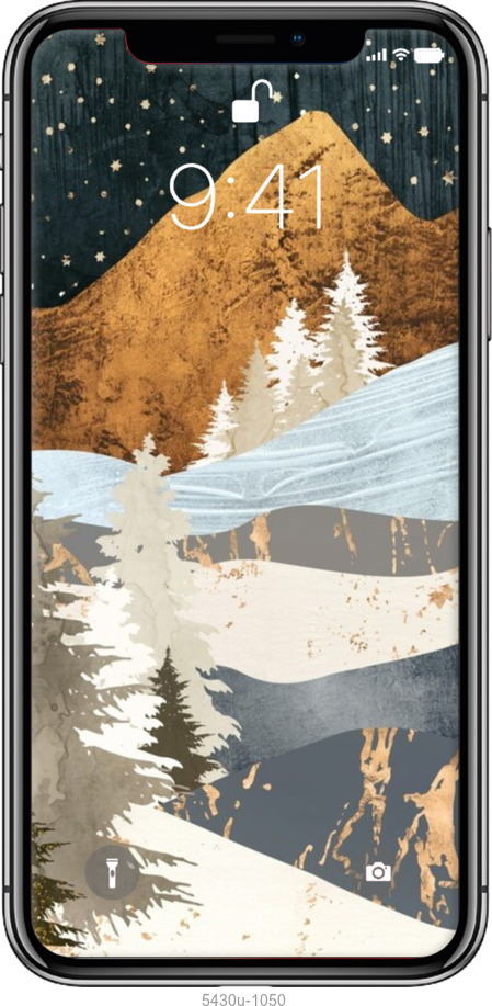 2D пластиковий чехол № 5430 для Apple iPhone X - 5430t-1050 изображение 