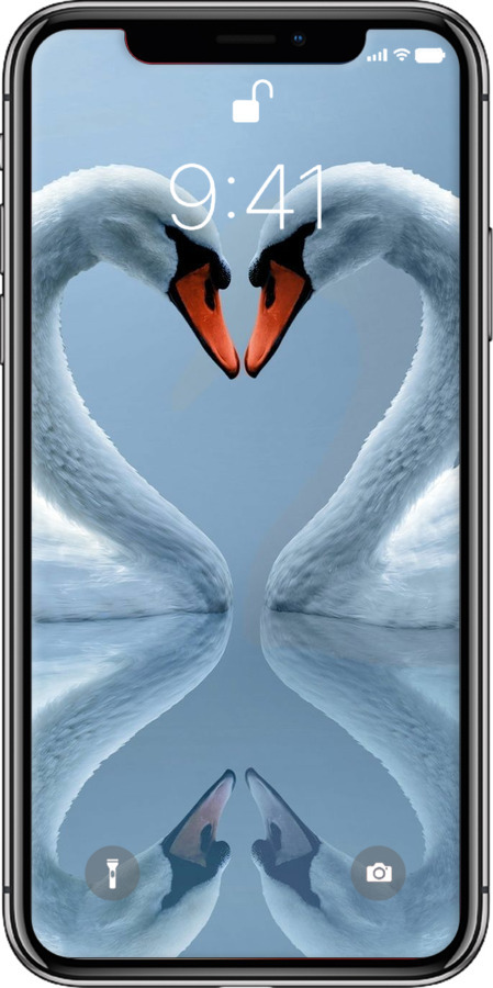 2D пластиковый чехол Лебеди для Apple iPhone X - 6007t-1050 изображение 