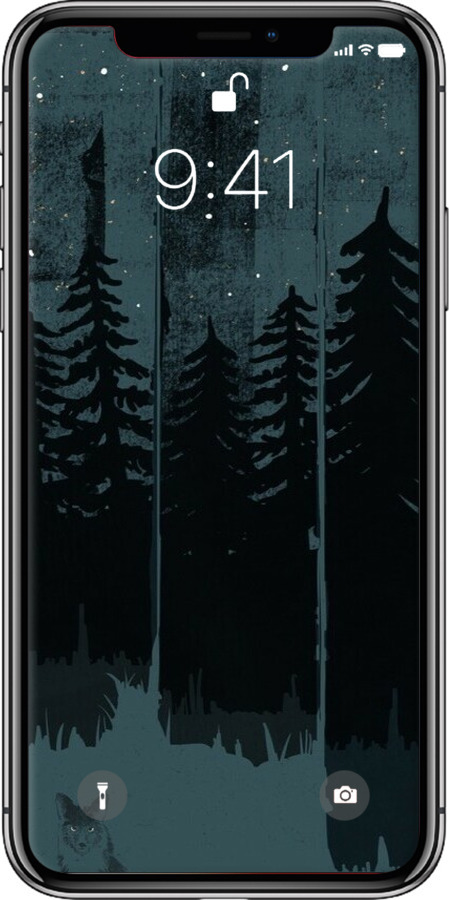 2D пластиковий чехол Лисиця та нічний ліс для Apple iPhone X - 6481t-1050 изображение 