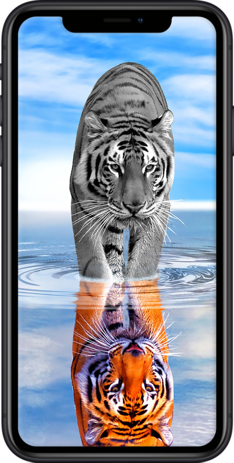 TPU чехол Тигр для Apple iPhone XR - 6016b-1560 изображение 