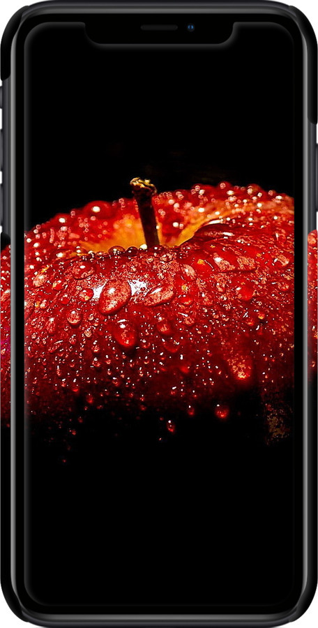 3D пластиковый глянцевый чехол Яблоко для Apple iPhone XR - 6022c-1560 изображение 