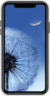 Чохол Bumper чехол Кульбабка для Apple iPhone XR - 6005pc-1560 изображение 