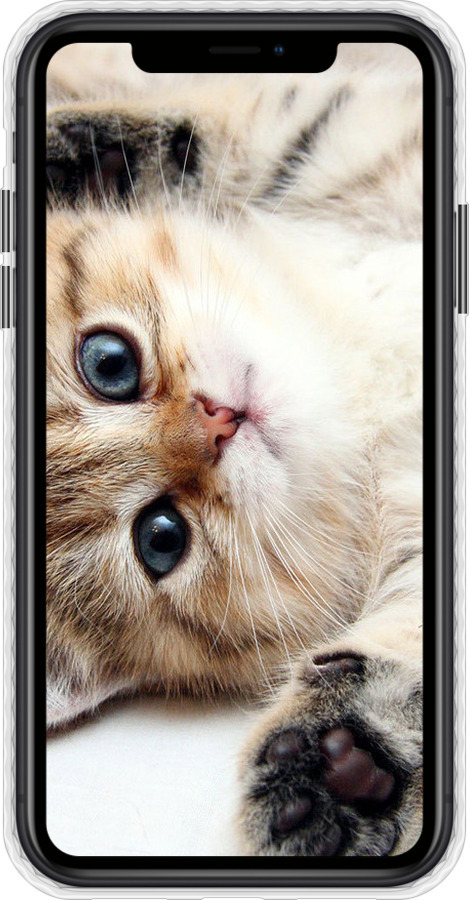 Чехол Bumper чехол Котик для Apple iPhone XR - 6024pc-1560 изображение 
