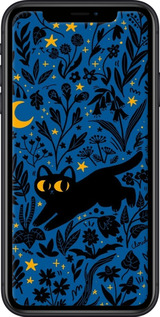 2D пластиковый чехол Летняя ночь для Apple iPhone XR - 6472t-1560 изображение 