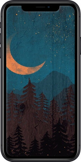 2D пластиковый чехол Звездный лес для Apple iPhone XR - 6480t-1560 изображение 
