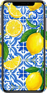 3D пластиковий глянцевий чехол Grocery Girl Italian Summer для Apple iPhone XS Max - 6766c-1557 изображение 