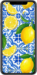 2D пластиковий чехол Grocery Girl Italian Summer для Apple iPhone XS Max - 6766t-1557 изображение 