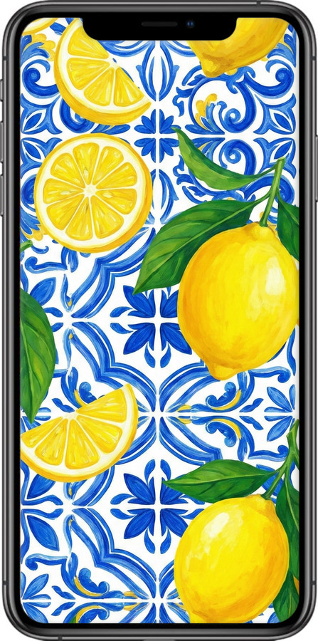 2D пластиковий чехол Grocery Girl Italian Summer для Apple iPhone XS Max - 6766t-1557 изображение 