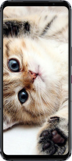 Силіконовий чехол Котик для Asus ROG Phone 5 - 6024u-2530 изображение 