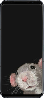 Силиконовый чехол The Peeking Rat для Asus ROG Phone 5 - 6442u-2530 изображение 