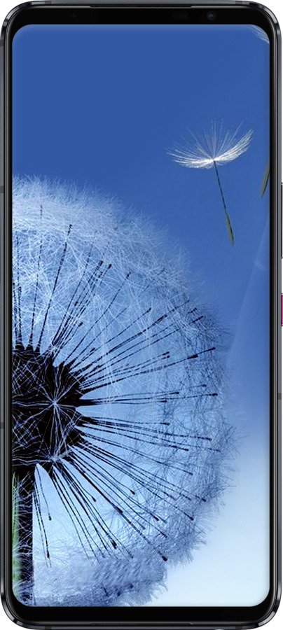 Силіконовий чехол Кульбабка для Asus ROG Phone 5 - 6005u-2530 изображение 