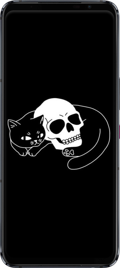 Силиконовый чехол С изображением кота и черепа для Asus ROG Phone 5 - 6491u-2530 изображение 
