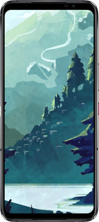 Силіконовий чехол № 5424 для Asus Rog Phone 6 - 5424u-3401 изображение 