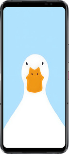 Силиконовый чехол Гусь для Asus Rog Phone 6 - 6350u-3401 изображение 