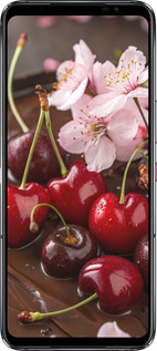 Силіконовий чехол Вишня у шоколаді для Asus Rog Phone 6 - 6698u-3401 изображение 