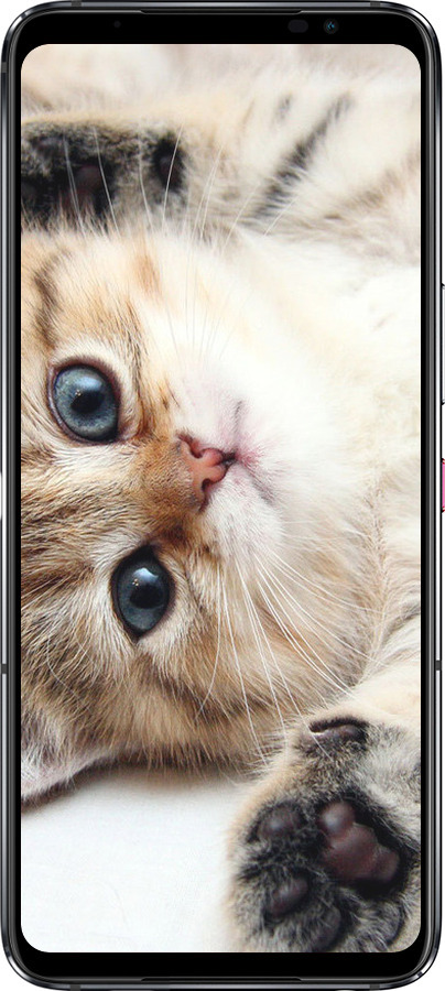 Силиконовый чехол Котик для Asus Rog Phone 6 - 6024u-3401 изображение 