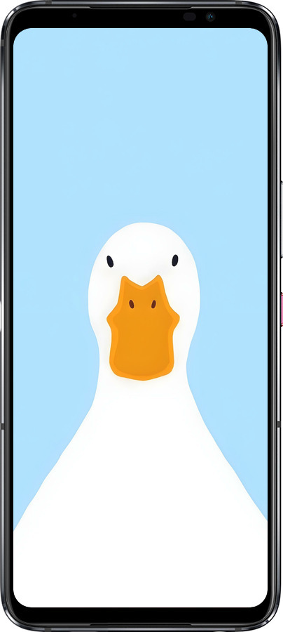 Силиконовый чехол Гусь для Asus Rog Phone 6 - 6350u-3401 изображение 