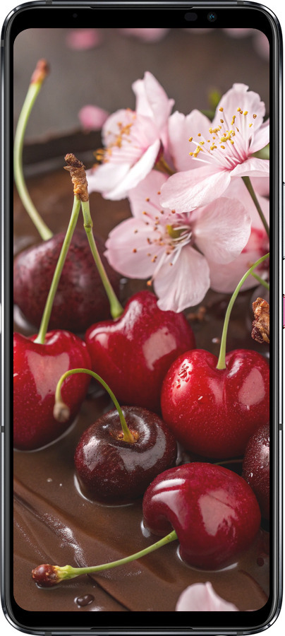 Силіконовий чехол Вишня у шоколаді для Asus Rog Phone 6 - 6698u-3401 изображение 