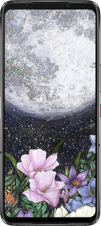 Силиконовый чехол Полночь в саду для Asus Rog Phone 7 - 6259u-3405 изображение 