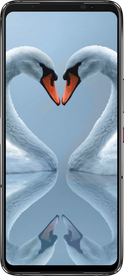 Силиконовый чехол Лебеди для Asus Rog Phone 7 - 6007u-3405 изображение 