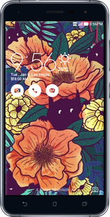Силиконовый чехол С изображением полевых цветов для Asus Zenfone 3 ZE552KL - 6419u-448 изображение 