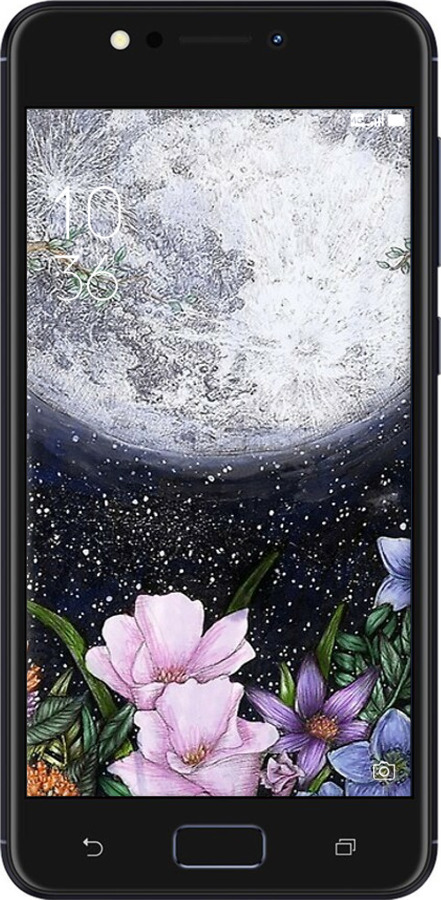 Силиконовый чехол Полночь в саду для Asus ZenFone 4 Max ZC520KL - 6259u-1242 изображение 