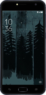 Силіконовий чехол Лисиця та нічний ліс для Asus ZENFONE 4 SELFIE / ZD553KL - 6481u-1241 изображение 