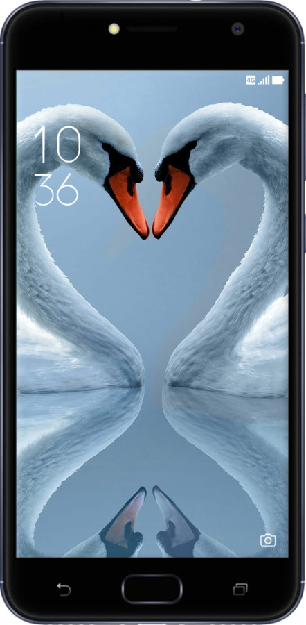 Силіконовий чехол Лебеді для Asus ZENFONE 4 SELFIE / ZD553KL - 6007u-1241 изображение 