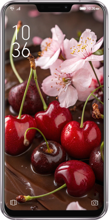 Силиконовый чехол Вишня в шоколаде для Asus Zenfone 5 ZE620KL - 6698u-1554 изображение 