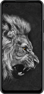 Силиконовый чехол Лев для Asus Zenfone 9 - 1080u-2842 изображение 