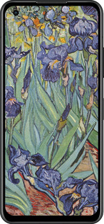 Силіконовий чехол Вінсент Ван Гог. Іриси для Asus Zenfone 9 - 161u-2842 изображение 