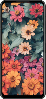 Силиконовый чехол Beauty flowers для Asus Zenfone 9 - 4050u-2842 изображение 