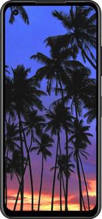 Силиконовый чехол Пальмы для Asus Zenfone 9 - 4324u-2842 изображение 