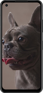 Силиконовый чехол Милый бульдог для Asus Zenfone 9 - 5546u-2842 изображение 