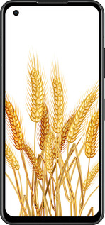 Силиконовый чехол Колоски пшеници для Asus Zenfone 9 - 5866u-2842 изображение 