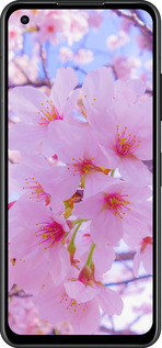 Силиконовый чехол Сакура для Asus Zenfone 9 - 6029u-2842 изображение 