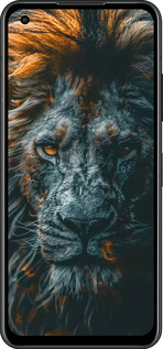 Силиконовый чехол Лев в сумерках для Asus Zenfone 9 - 6154u-2842 изображение 