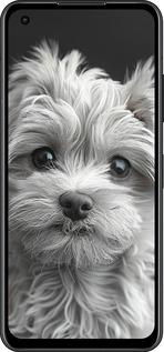 Силиконовый чехол Мальтипу на чорном фоне для Asus Zenfone 9 - 6156u-2842 изображение 