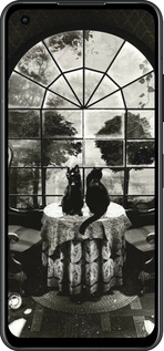 Силиконовый чехол Череп и коты для Asus Zenfone 9 - 6432u-2842 изображение 