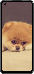 Силіконовий чехол Boo 2 для Asus Zenfone 9 - 890u-2842 изображение 