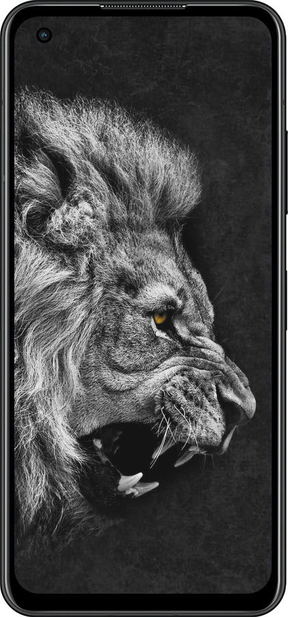 Силиконовый чехол Лев для Asus Zenfone 9 - 1080u-2842 изображение 