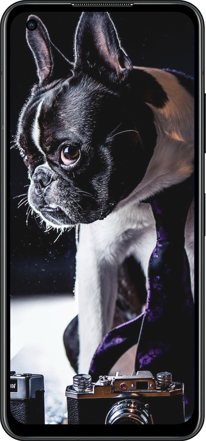 Силиконовый чехол Бульдог-фотограф для Asus Zenfone 9 - 142u-2842 изображение 